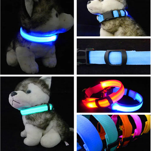 Pet LED Collar