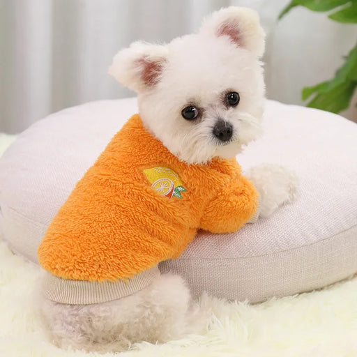 Warm Doggy Sweater
