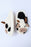 White Cartoon Animal Animal Plush Slippers