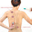 Vacuum Cupping Therapy Set Chinese Medicine Physiotherapy Massage Healthy Care Anti-Cellulite Suction Cups For Body Massager