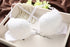 New sexy lace Beauty Back Bra bowknot fashion bra set vs sexy underwear sexy women bra set gathered push up bra brief set