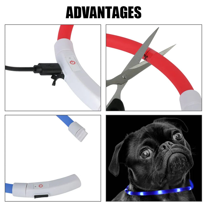 Glow In The Dark LED Dog Safety Collar