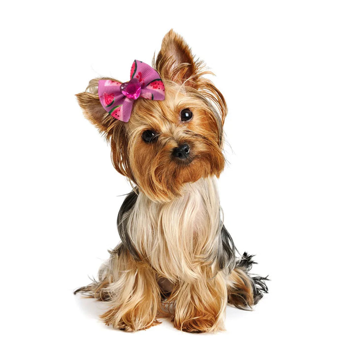 Bulk New Summer Fruit Pet Dog Hair Bows Small Dog Cat Bowknot Hairbows Accessories Supplies Yorkshire Pet Dog Grooming Hairbows