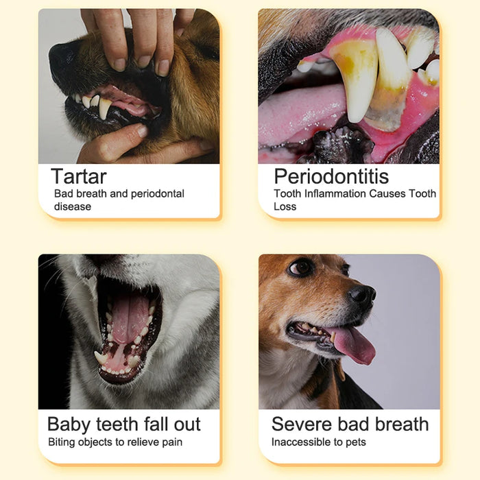 Pet Snack Dog Molar Tooth Stick Cleaning Teeth Dog Chews Toys Training Training Reward Snack Clean Tooth Bone Puppy Food Toy