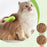 Cat Steam Brush Pet Massage Comb Cat Dog Grooming Comb Electric Spray Water Spray Cats Bath Brush Hair Brushes Grooming Supplies