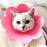 Flower Shaped Elizabethan Cat Recovery Collar Collar Wound Healing Protective Cone for Kitten Puppy Pet Supplies