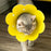 Flower Shaped Elizabethan Cat Recovery Collar Collar Wound Healing Protective Cone for Kitten Puppy Pet Supplies