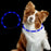 Glow In The Dark LED Dog Safety Collar