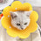 Flower Shaped Elizabethan Cat Recovery Collar Collar Wound Healing Protective Cone for Kitten Puppy Pet Supplies