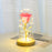 Valentines Day Gift  For Girlfriend Eternal Rose Flowers LED Light In Glass Cover Day Wedding Decoration Favors Mother Day Female Gift  Gift